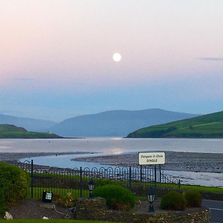 Coastline House Bed & Breakfast Dingle Dış mekan fotoğraf