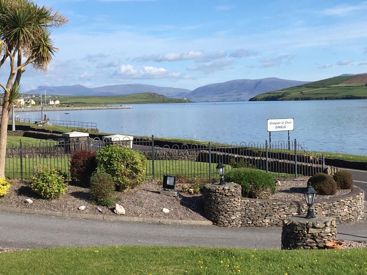 Coastline House Bed & Breakfast Dingle Dış mekan fotoğraf