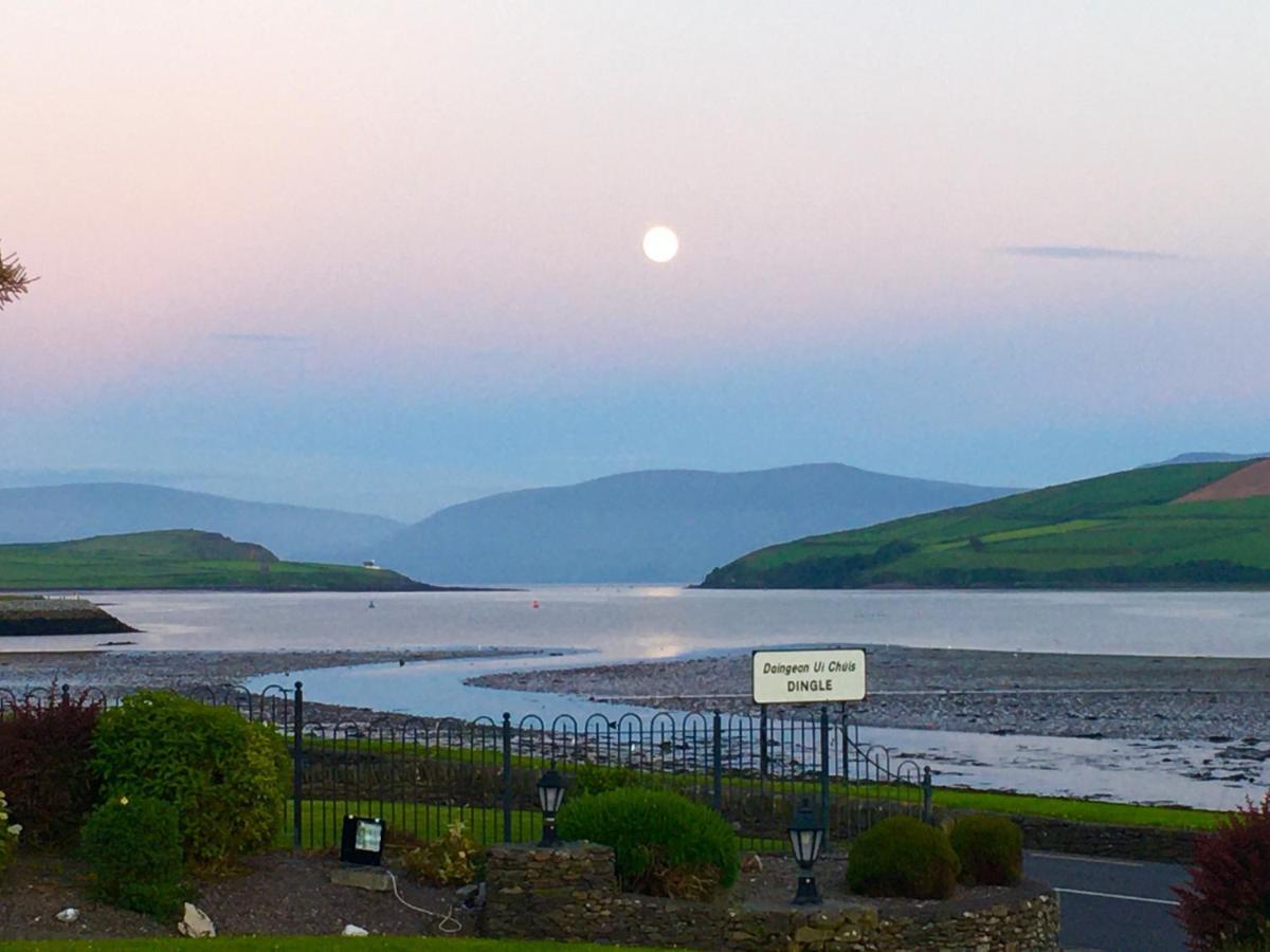 Coastline House Bed & Breakfast Dingle Dış mekan fotoğraf