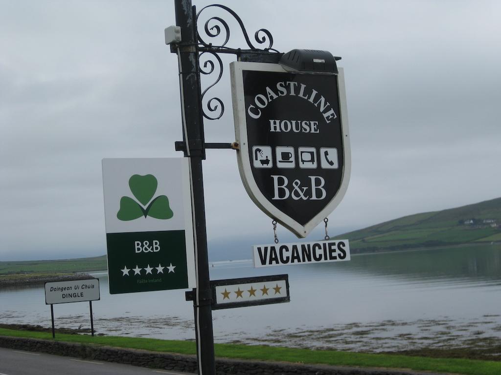 Coastline House Bed & Breakfast Dingle Dış mekan fotoğraf